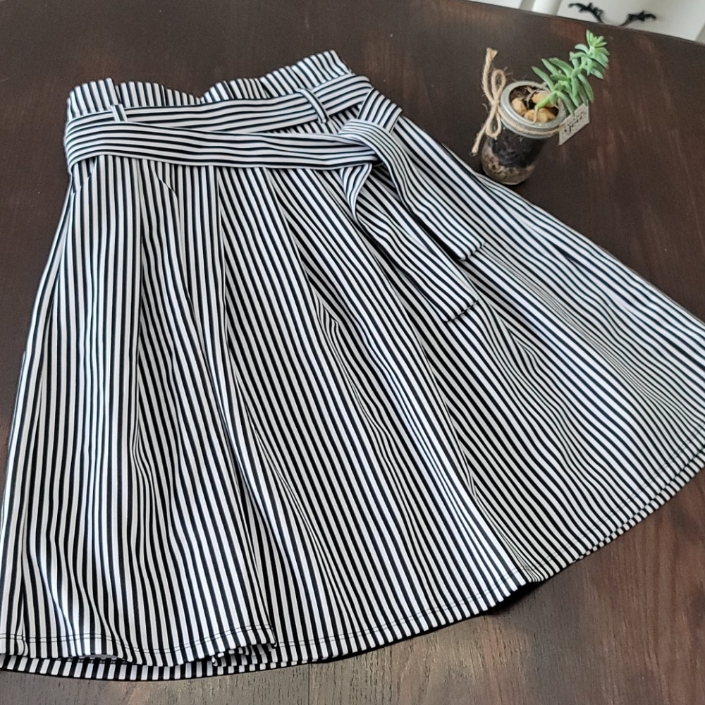 Gently loved super cute pleated striped skirt